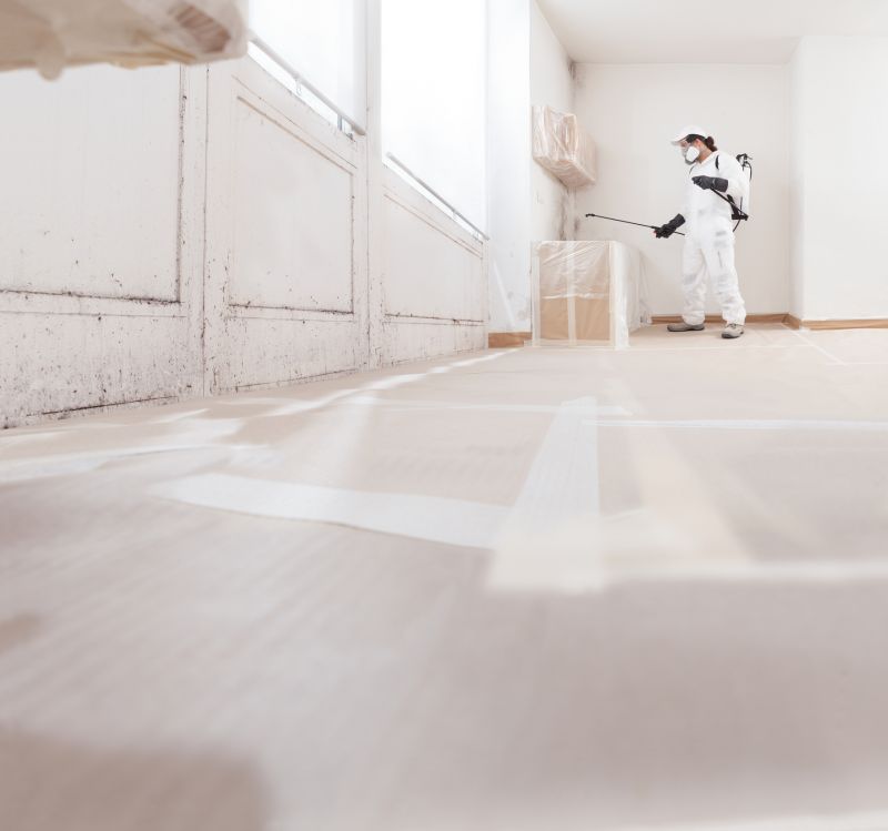 Garage Mold Remediation in Dallas, TX