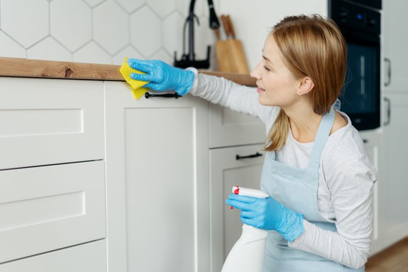 Kitchen Cleaning Service in Renton, WA
