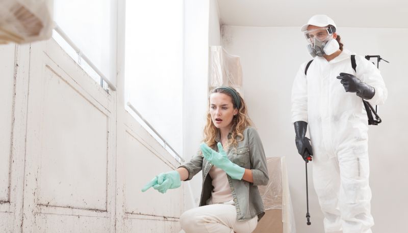 Mold Treatment Service in Broward County, FL