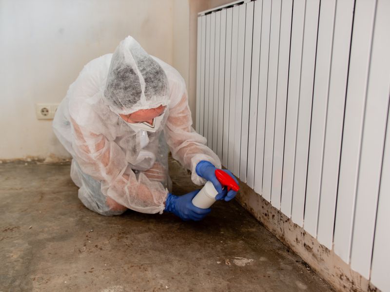 White Mold Mitigation in Fort Worth, TX