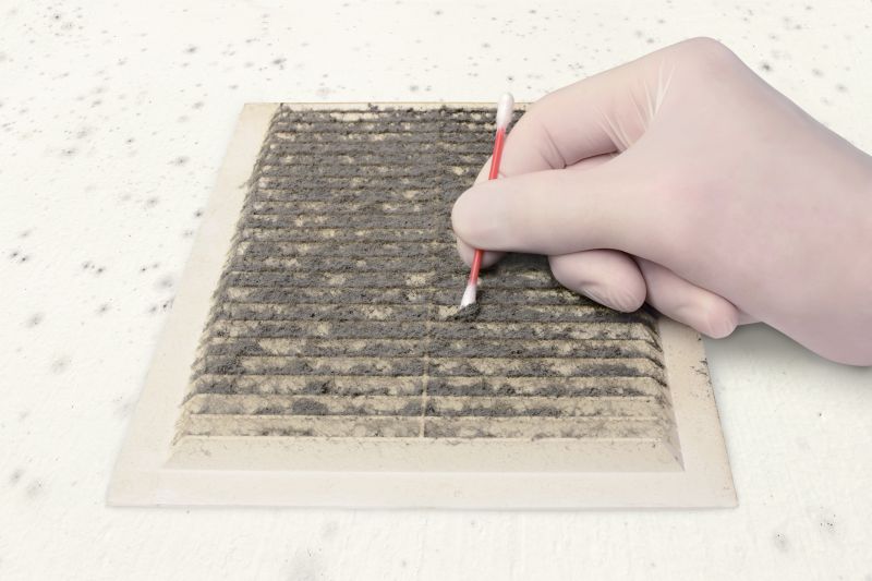 Air Duct Mold Removal in Fort Worth, TX