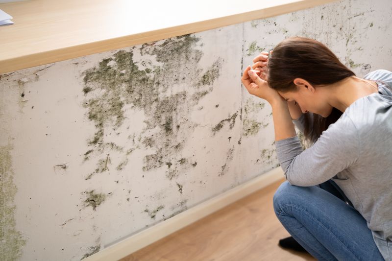 Attic Mold Removal in Essex County, NJ