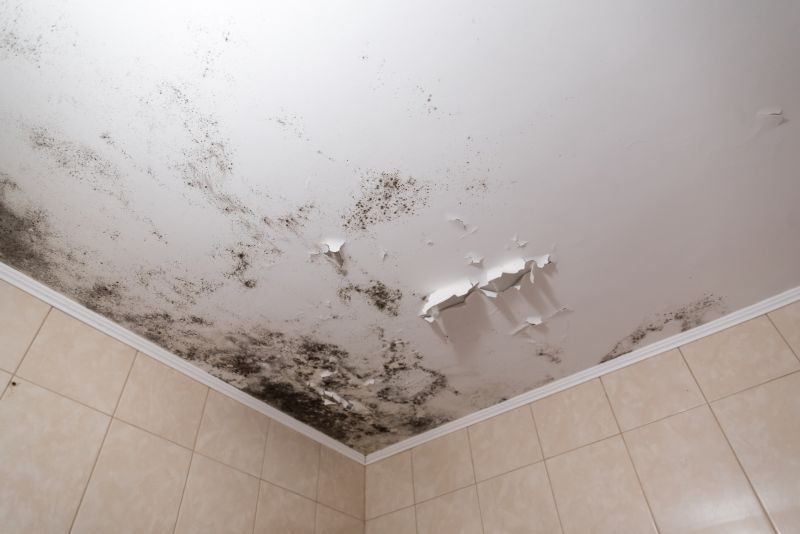Attic Mold Removal in Dallas, TX
