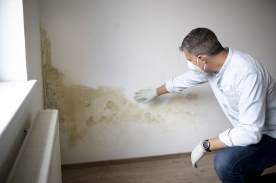 Basement Mold Remediation in Essex County, NJ