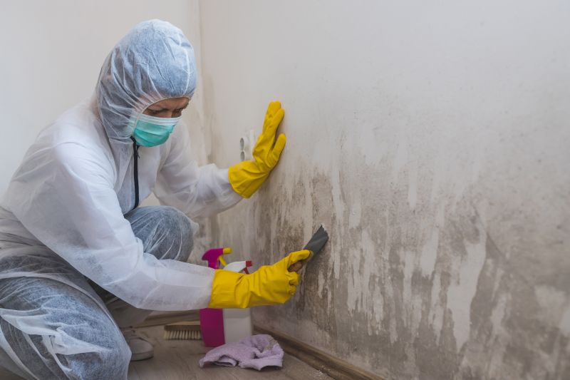 Basement Mold Remediation in Frisco, TX