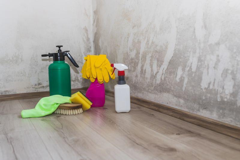 Basement Mold Removal in Fort Worth, TX