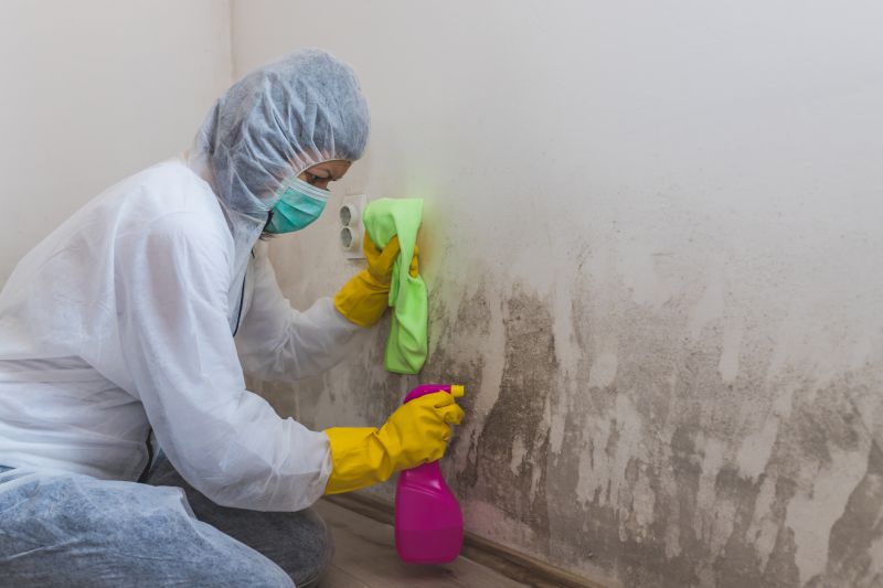 Black Mold Remediation in Dallas, TX