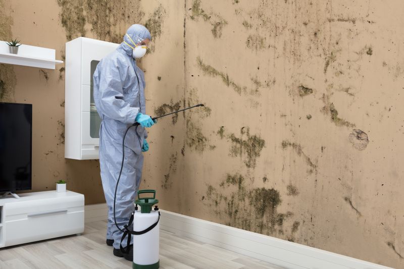 Black Mold Removal in Boynton Beach, FL