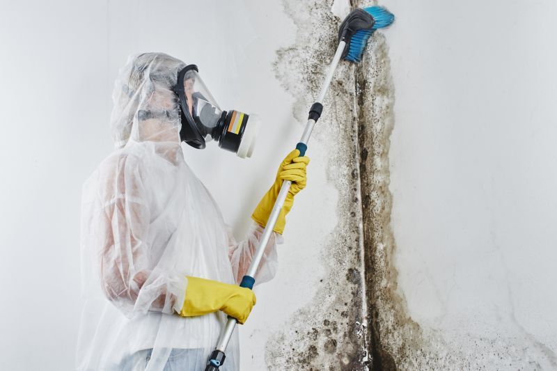 Crawl Space Mold Removal in Essex County, NJ