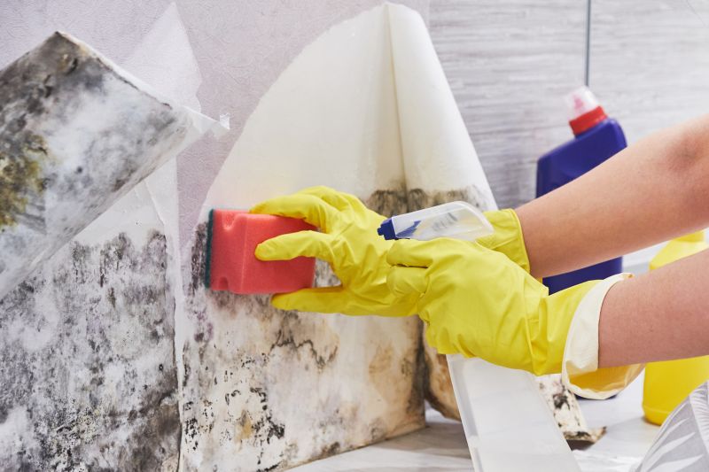 Crawlspace Mold Remediation in Boca Raton, FL