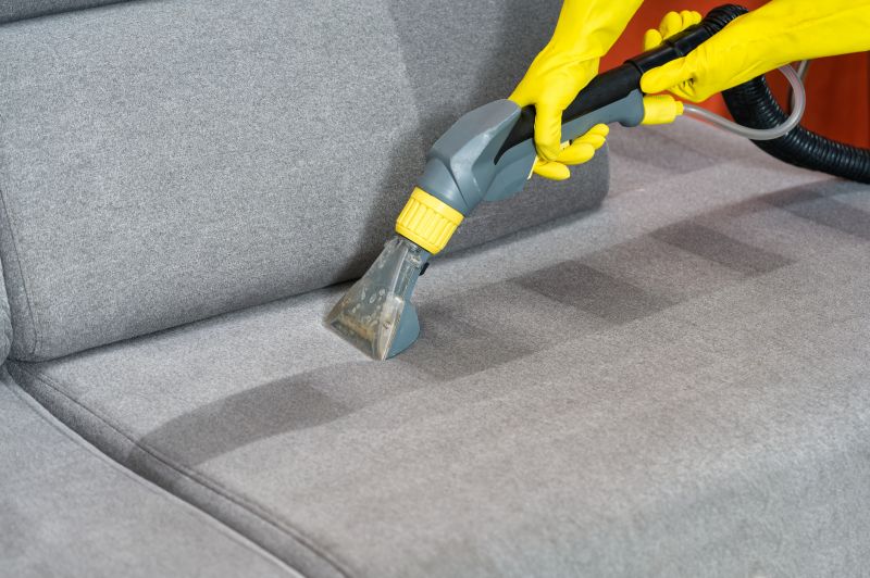 Couch Cleaning Service detail