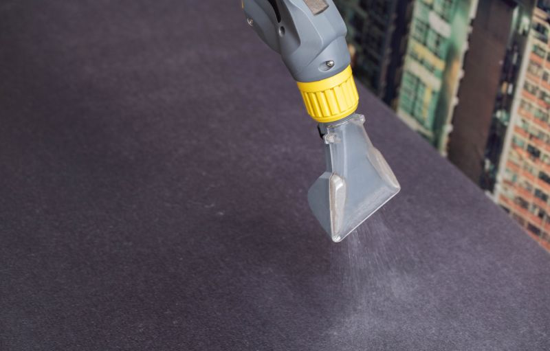 Upholstery Cleaning Service detail