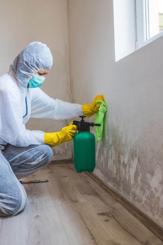 Garage Mold Remediation in Dallas, TX