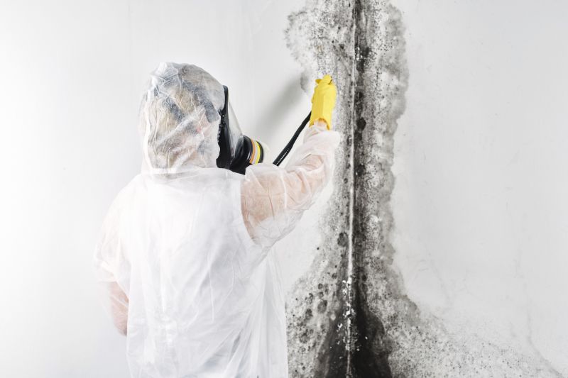 Mold Abatement Service in Bergen County, NJ