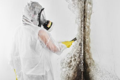 Mold Cleanup Service in Dallas, TX