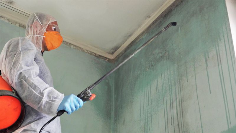 Mold Cleanup Service in Essex County, NJ