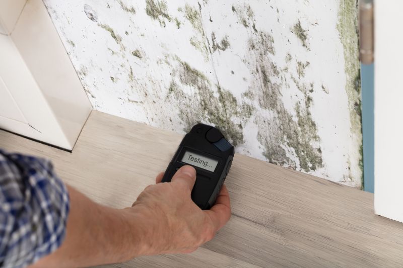 Mold Detection in Fort Worth, TX