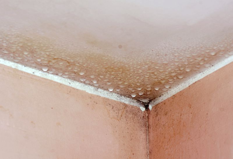 Mold Mitigation Service in Broward County, FL