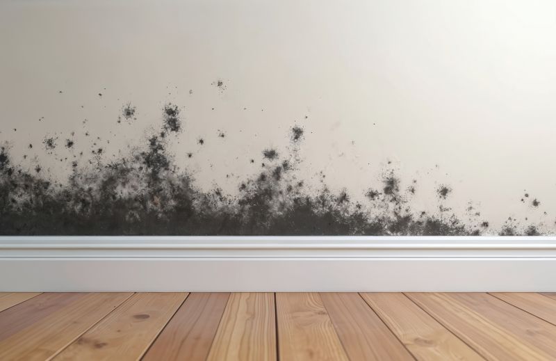White Mold Mitigation in Frisco, TX